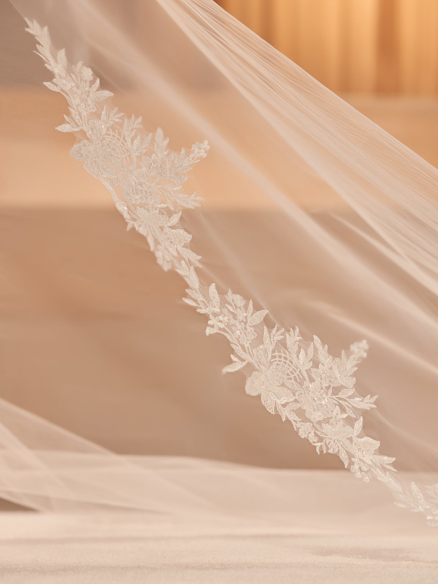 Bianco Evento diamond tulle veil with cut edge and lace edge, S451, 350 cm, 11.5 ft long